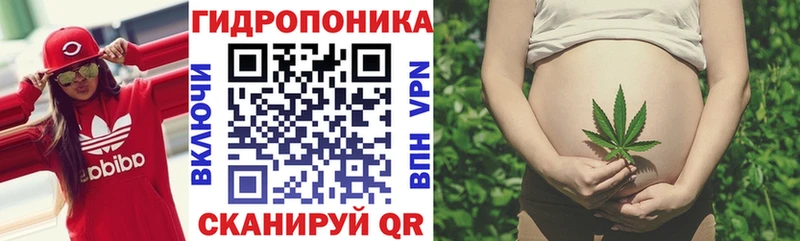 Каннабис SATIVA & INDICA  Галич 